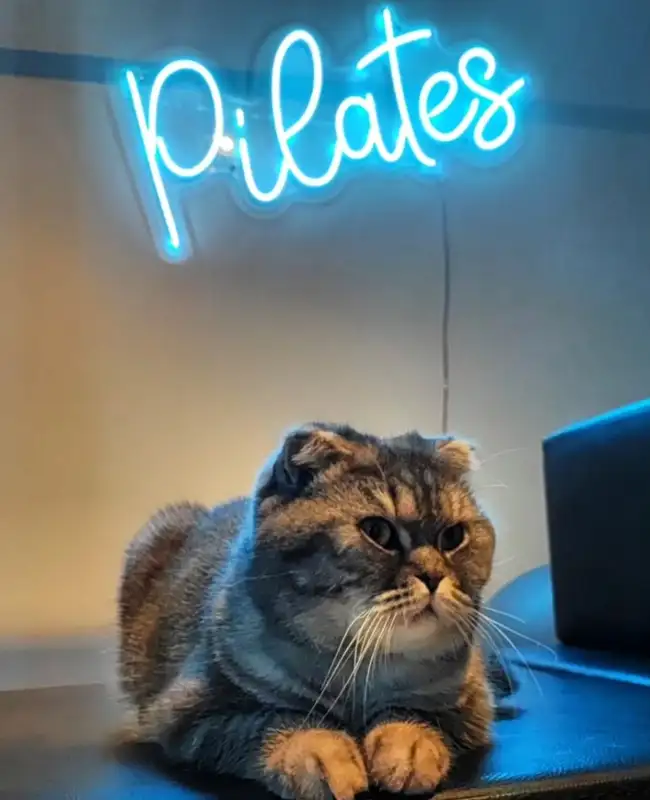 Thor Pilates Studio - İstanbul Beşiktaş