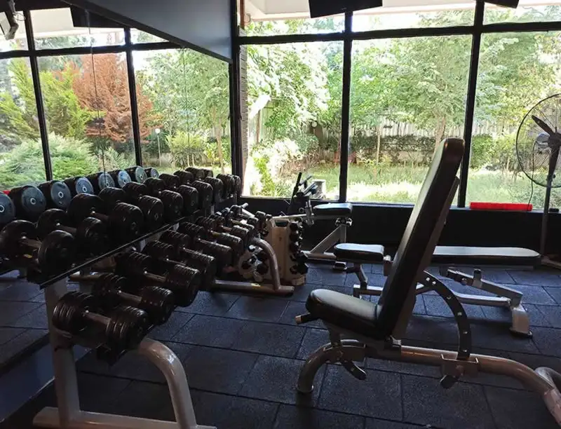 DFA Sports - İstanbul Kadıköy