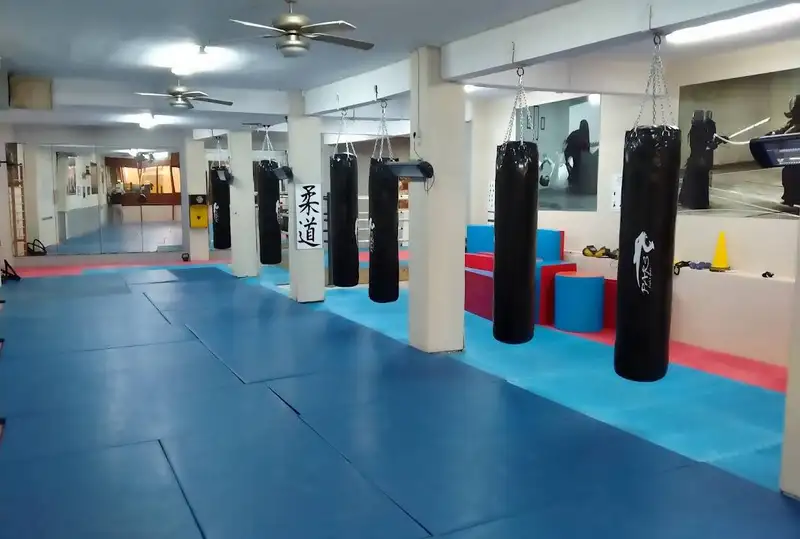 Serkan Yılmaz Uzak Doğu Sporları Küçükyalı - İstanbul Maltepe
