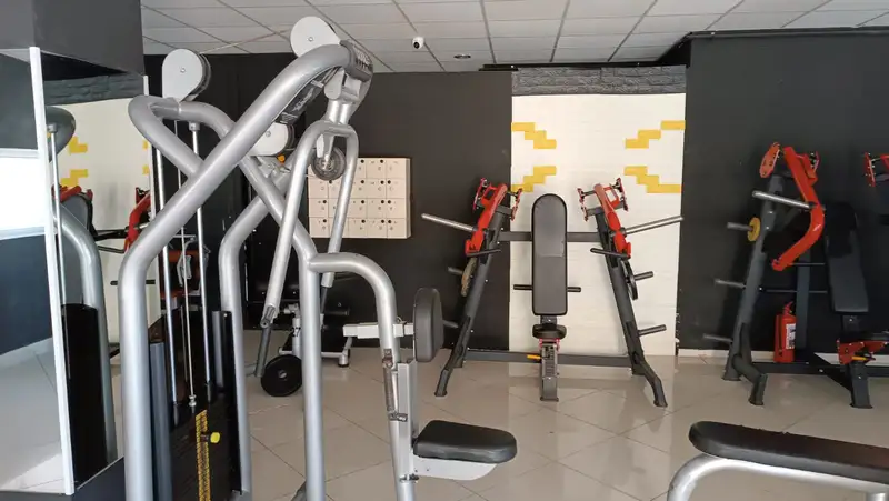 Stallion Gym & Crossfit - İzmir Aliağa