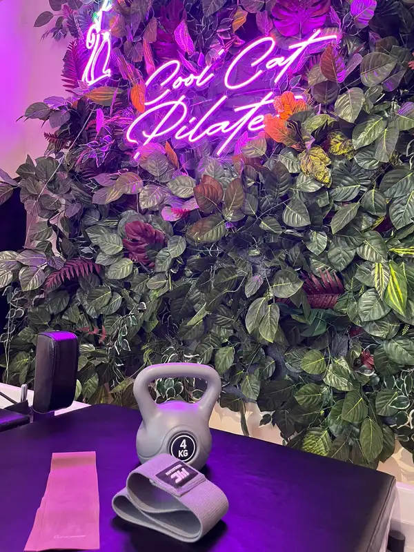 Cool Cat Pilates - İstanbul Bahçelievler