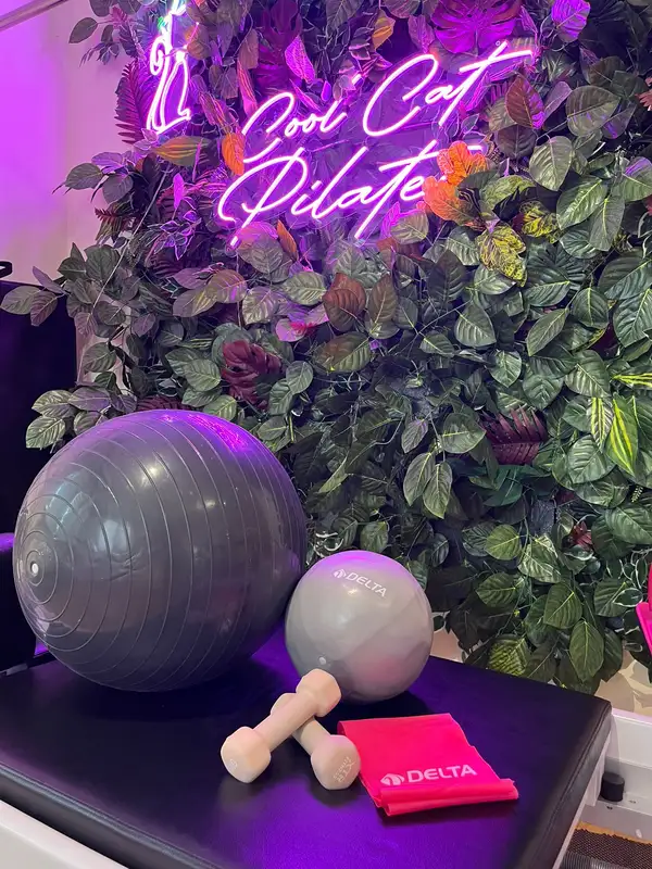 Cool Cat Pilates - İstanbul Bahçelievler