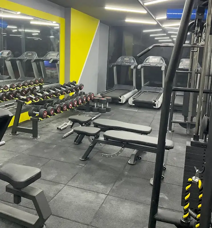 Roy Fitness - İstanbul Pendik