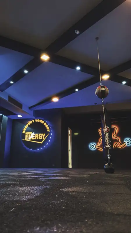 New Energy görsel 2