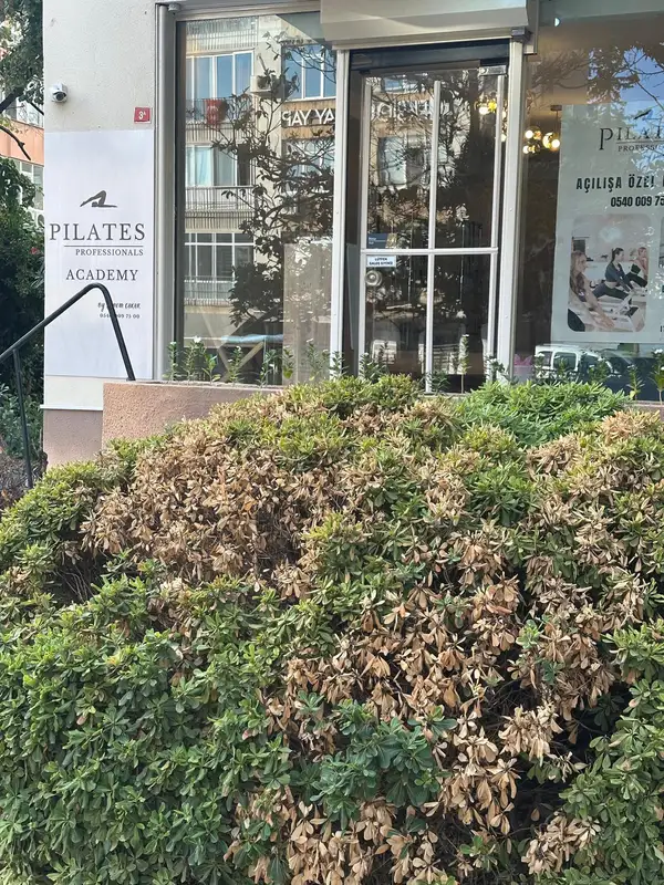 Pilates Professionals By Sinem Çakar - İstanbul Kadıköy