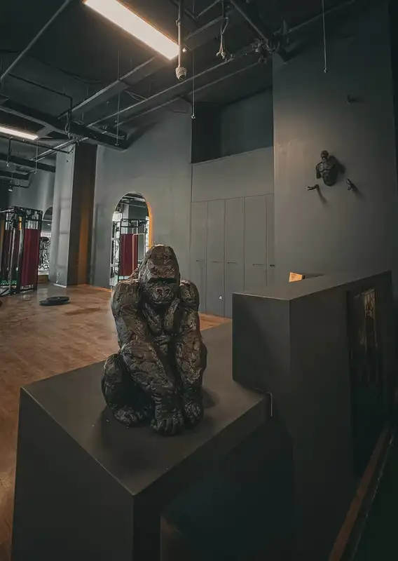 Gorilbey Gym Çukurambar Balgat - Ankara Çankaya