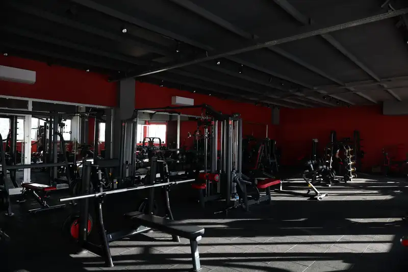 V Fit Bodrum görsel 2