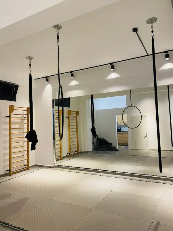 Studio Wild Pole Akademi - İzmir Karşıyaka