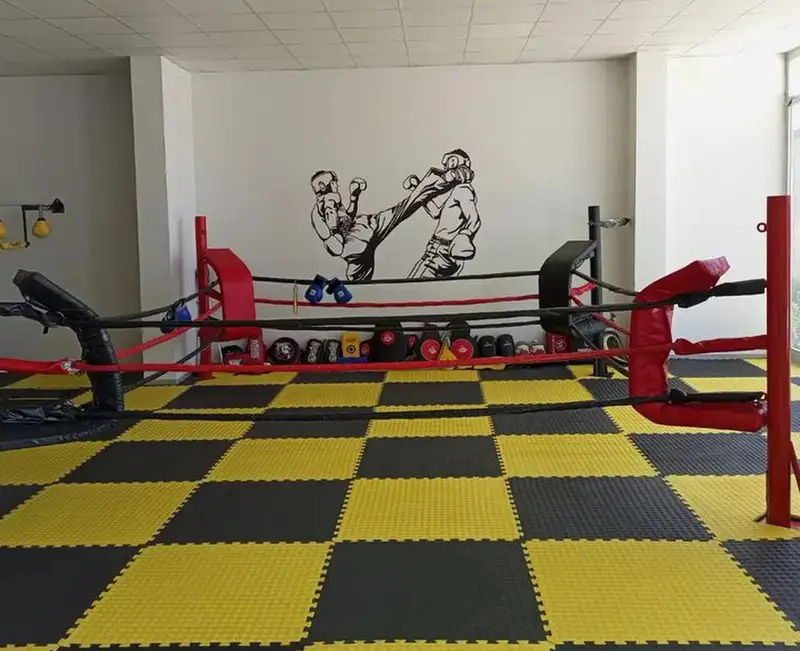 Fearless Fight Club Spor Kulübü - İzmir Menemen