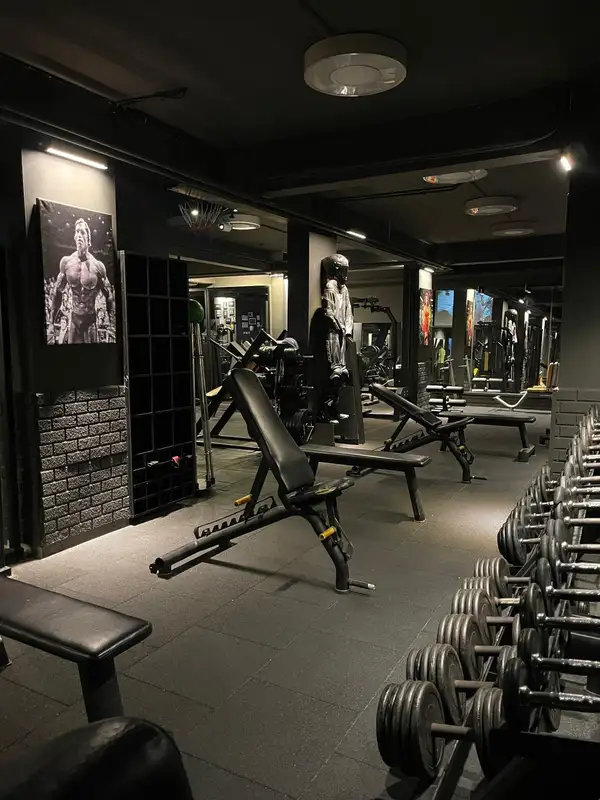 Iguana Gym - İstanbul Bakırköy