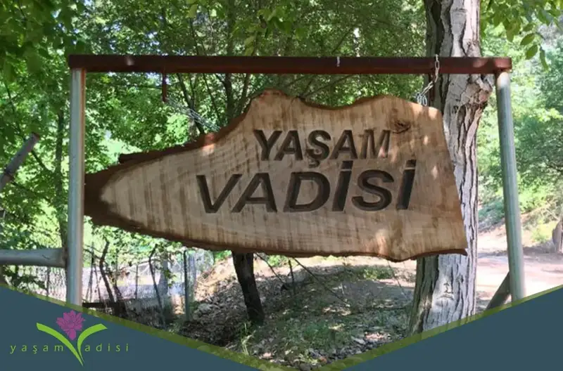 Yaşam Vadisi Yoga - İzmir Bornova