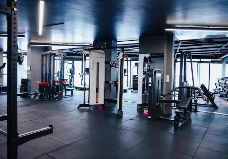 Gorilla Gym - Kocaeli Kartepe