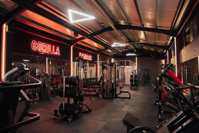 Gorilla Gym Hangar - Kocaeli Kartepe