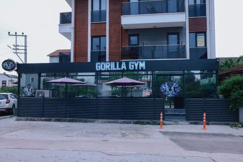 Gorilla Gym görsel 3