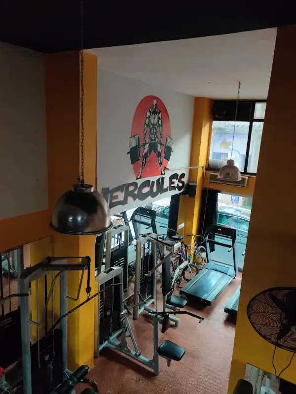 Hercules Gym - İstanbul Maltepe