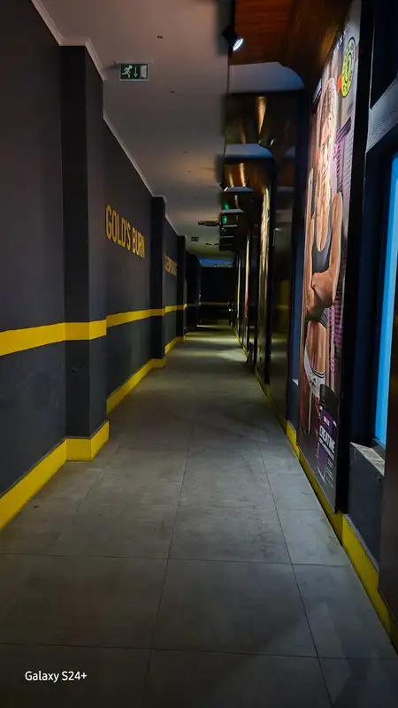 Royal Blue Gold Gym görsel 2