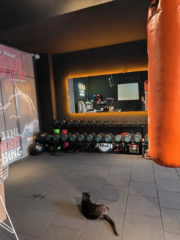 Wod Studio - İzmir Bayraklı