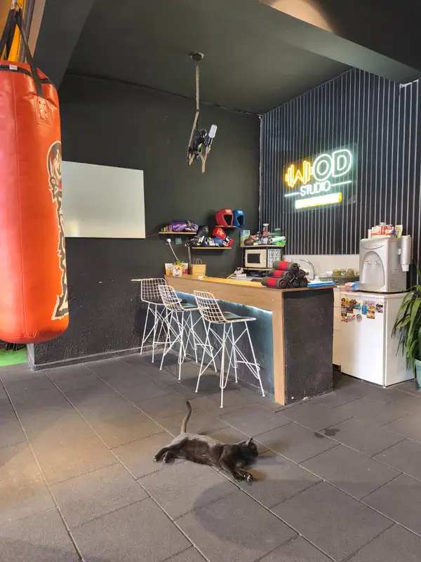 Wod Studio - İzmir Bayraklı