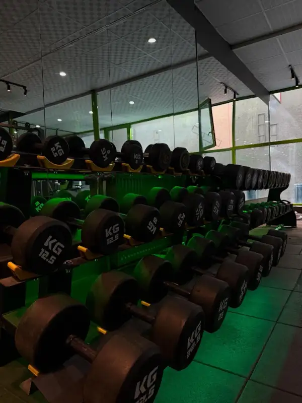 Muscle Factory Demetevler - Ankara Yenimahalle