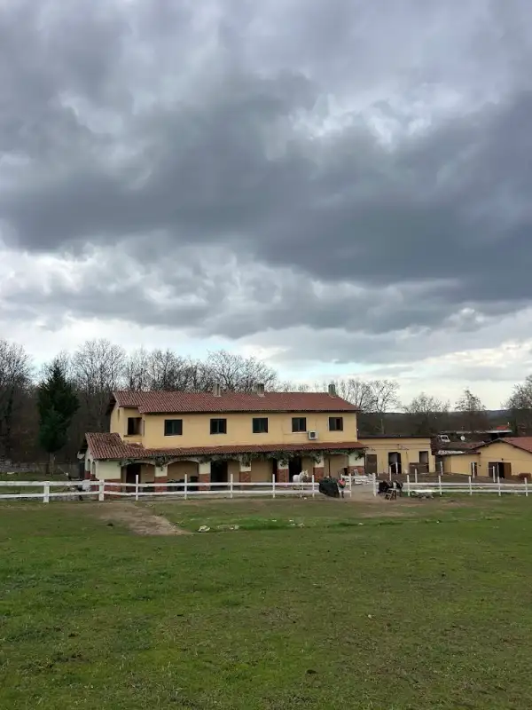 Tuva Atlı Spor Kulübü - İstanbul Pendik