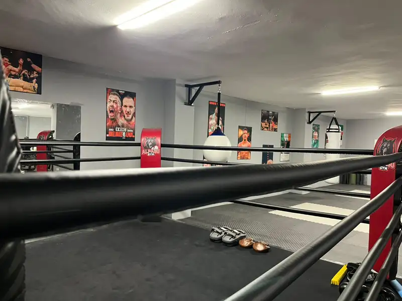 Alpagu Gym - İstanbul Maltepe