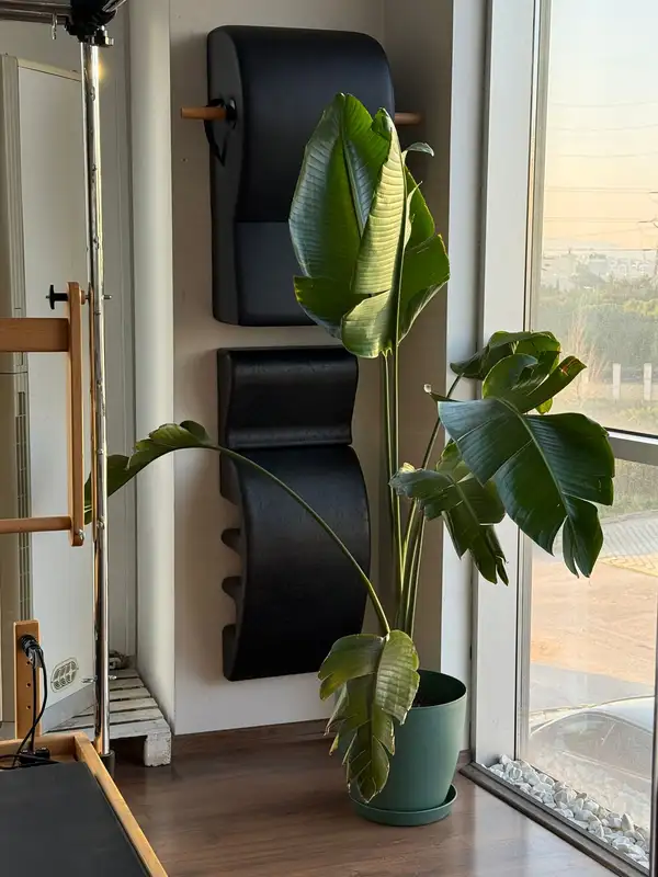 Fit Yurdi Pilates Studio - Bursa Ni̇lüfer