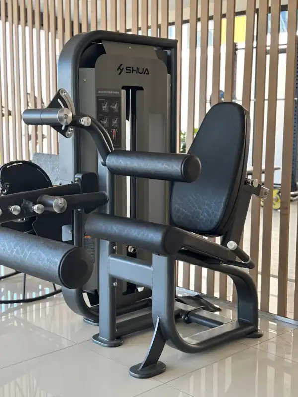 Zoi Armonia Training Studio görsel 2