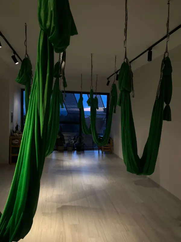 Dharma Yoga görsel 2