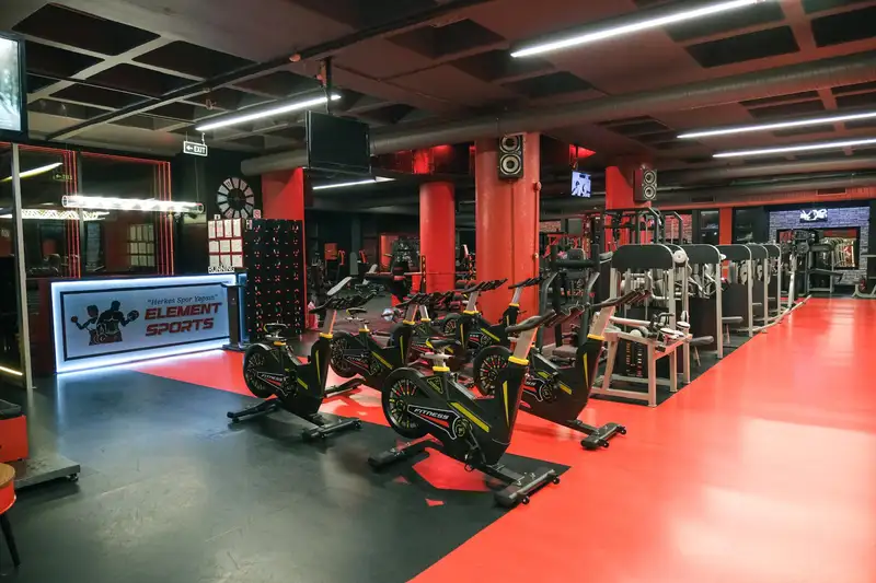 Element Sports görsel 2