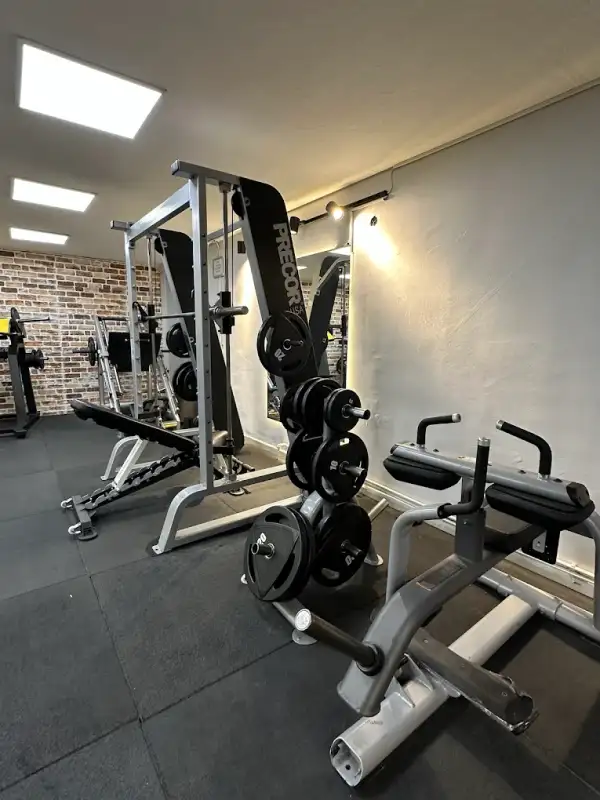 MDK Sports Evolution görsel 2