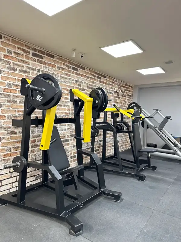 MDK Sports Evolution görsel 3