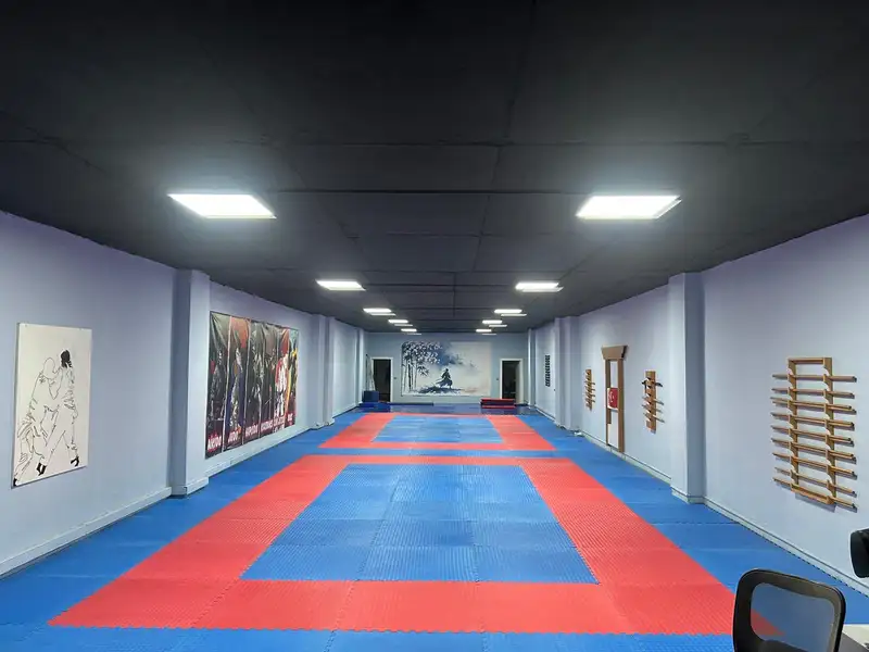 Ankara Savunma Sanatları Spor Kulübü / Free Fight Kravmaga Academy - Ankara Etimesgut