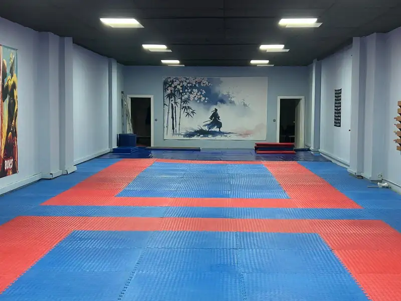 Ankara Savunma Sanatları Spor Kulübü / Free Fight Kravmaga Academy - Ankara Etimesgut