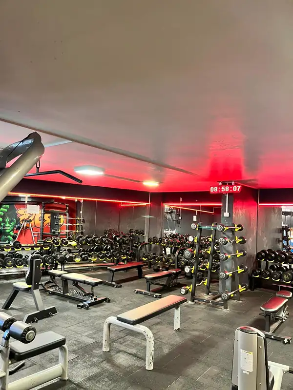 LS LEO SPORT - İzmir Karabağlar