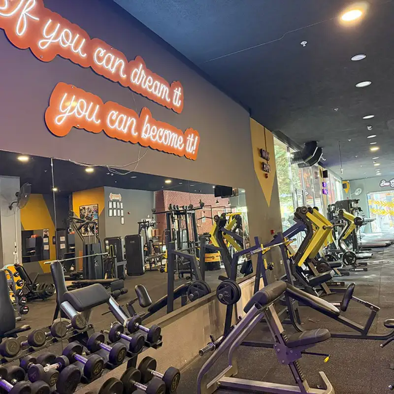 Boss Gym City görsel 3