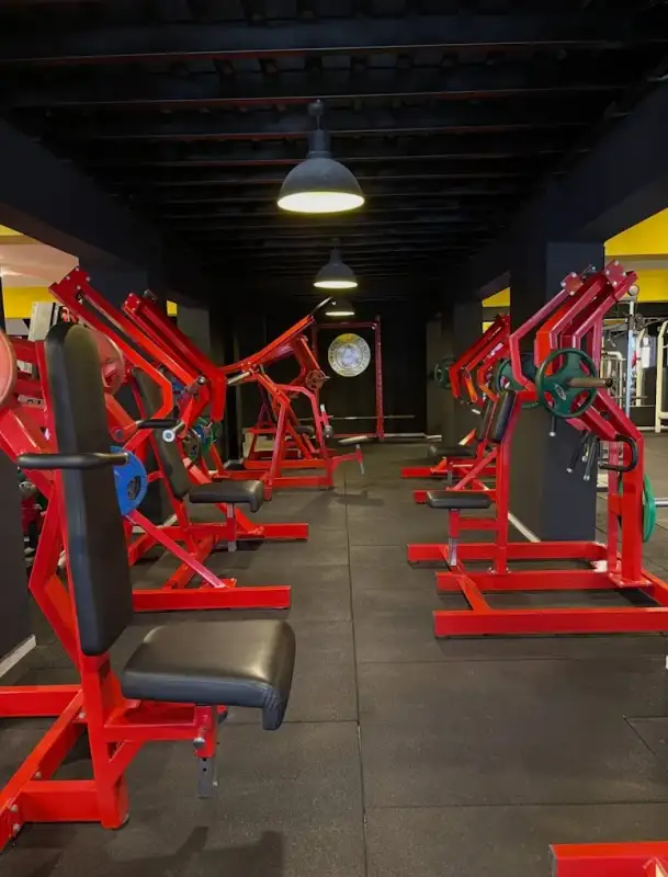 King Of Gym Star - Mersin Erdemli