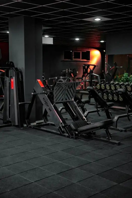 THE WOLFS GYM - Bolu Gerede