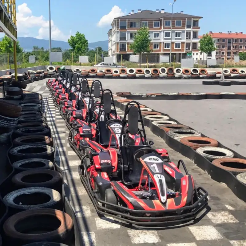 Park Arena Go-Kart görsel 2