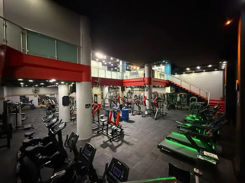 Apex Gym görsel 3
