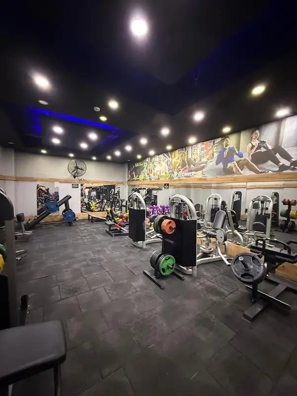 Apex Gym - İstanbul Avcılar