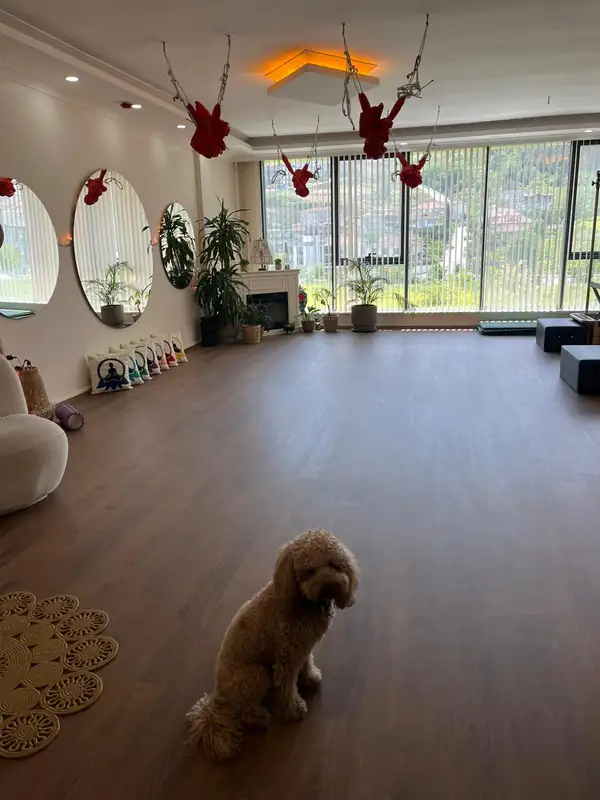 Chakra Studio Yoga & Pilates - Sakarya Serdivan