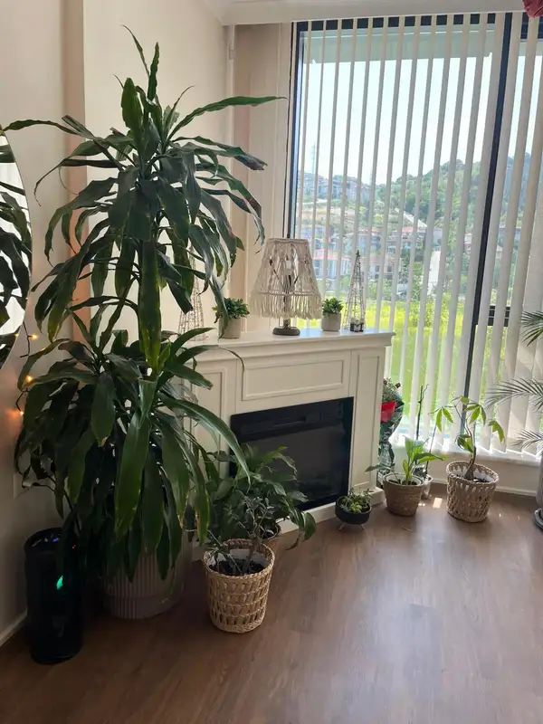 Chakra Studio Yoga & Pilates - Sakarya Serdivan