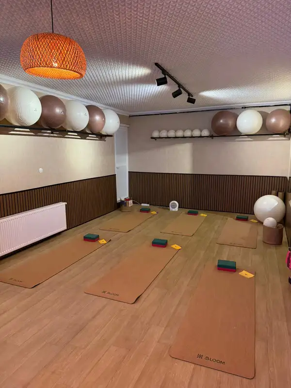 Main Pilates görsel 2