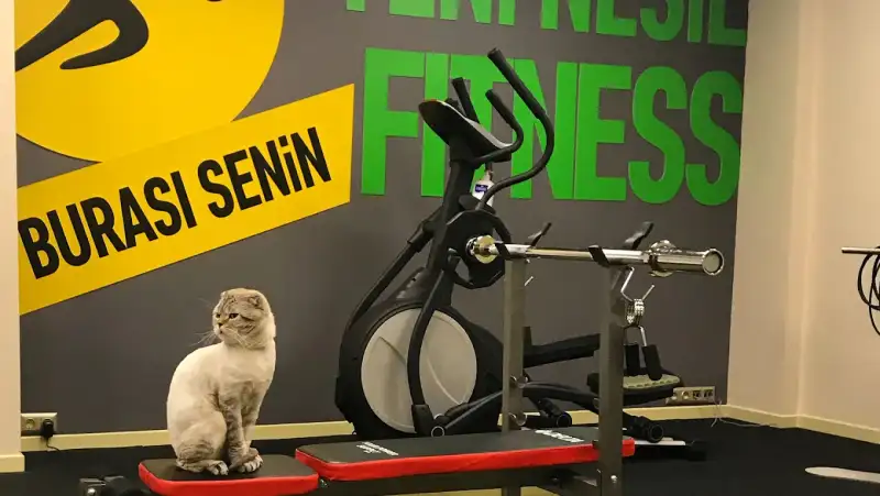 S-Fit Ankara - Ankara Çankaya