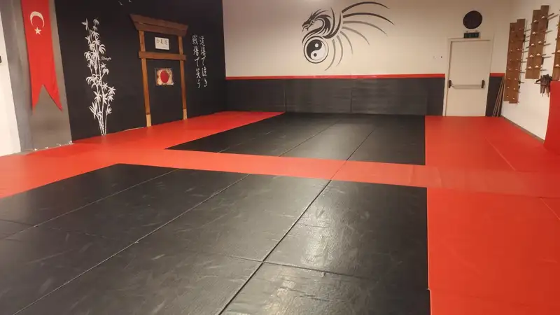Senjutsu Dojo - İstanbul Beylikdüzü