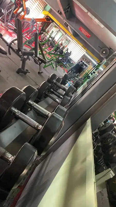 Mutant Animal Gym Club görsel 2