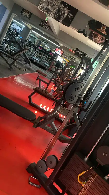 Mutant Animal Gym Club görsel 3