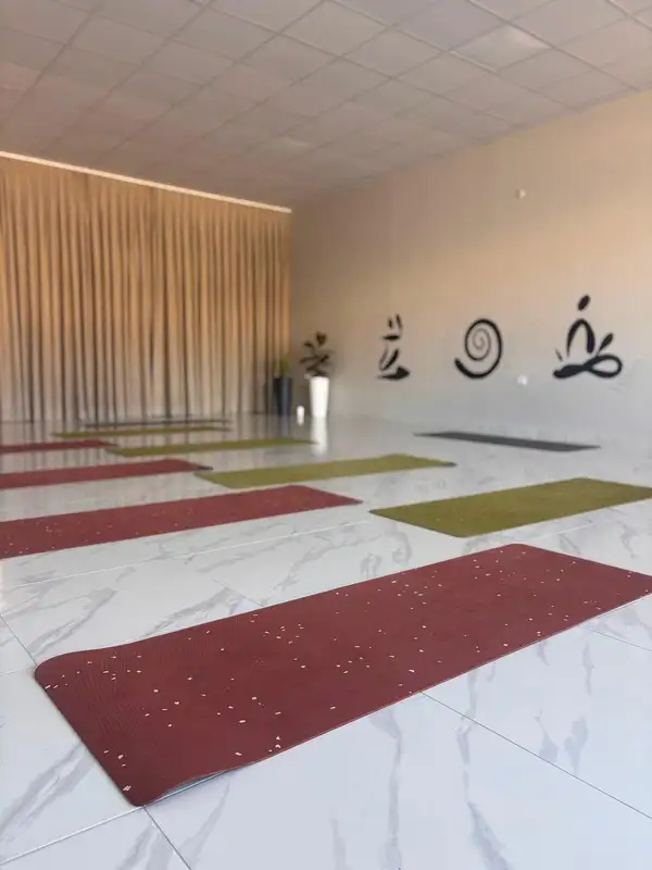 Z Karma Studio görsel 3