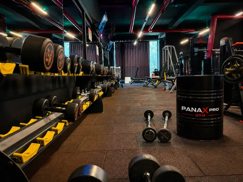 Panax Pro Gym - İstanbul Beylikdüzü