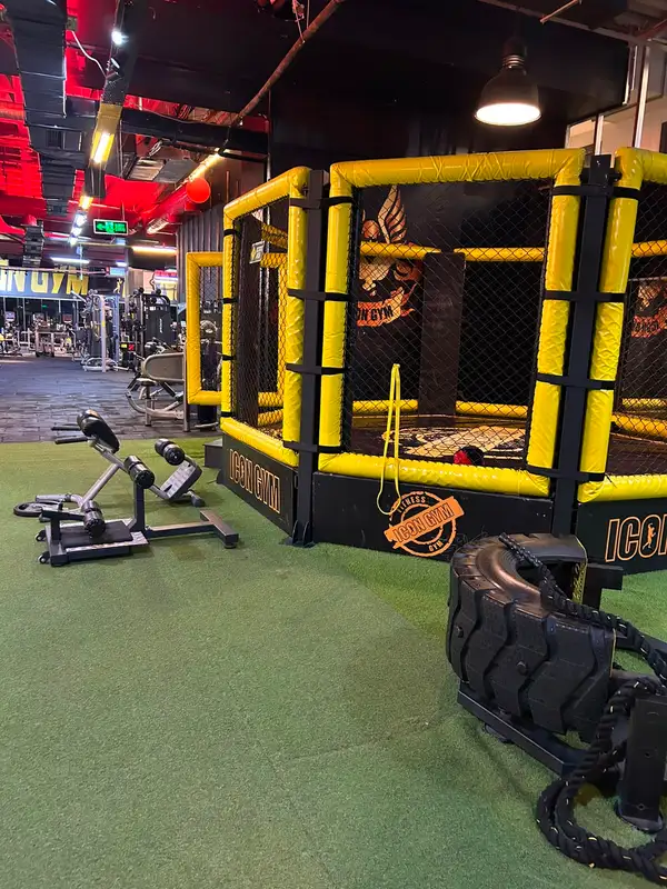 Icon Gym Fitness Club Bahçeşehir görsel 2